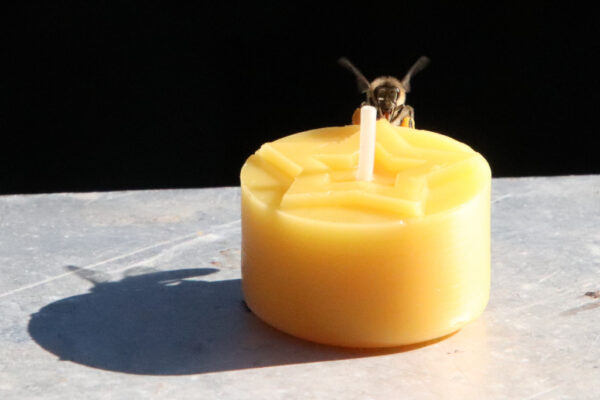 Teelicht mit sitzender Biene
